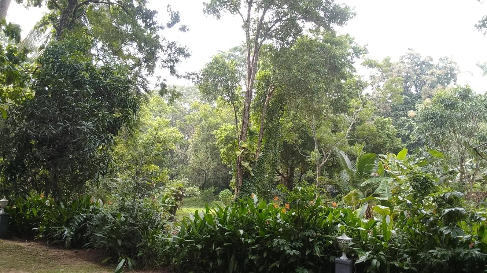 Habarana Inn 4*,  Sri Lanka