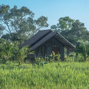 Hotel Farm